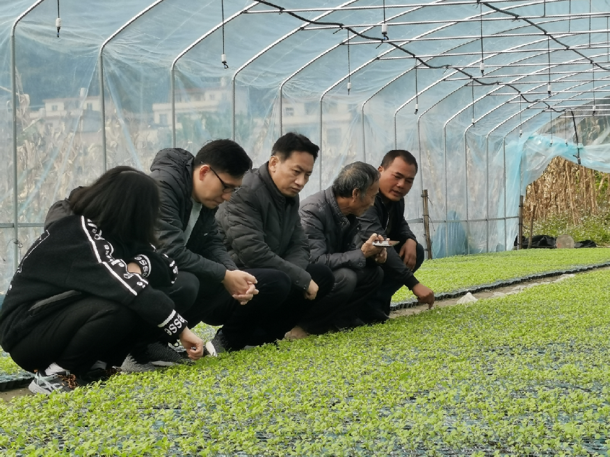 香港在線現金網賭場推薦網