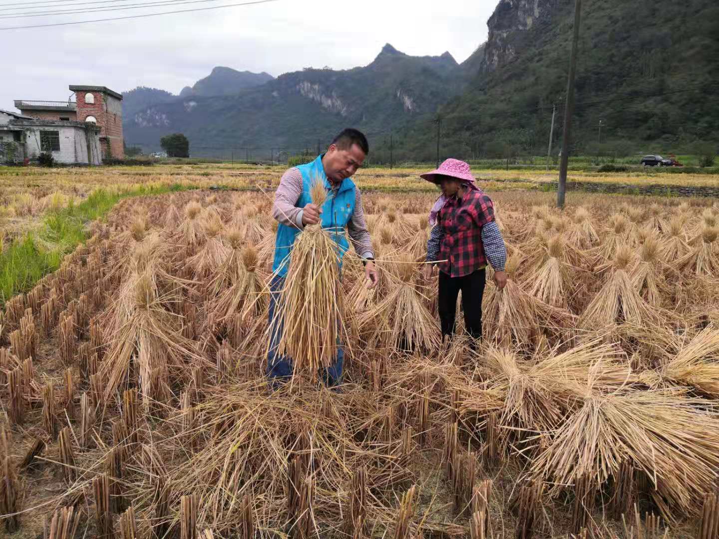 香港在線現金網賭場推薦網