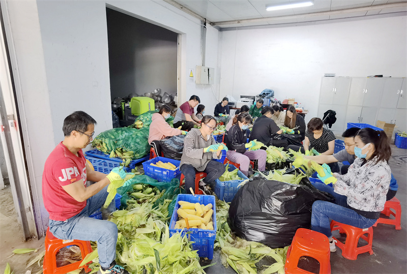 香港在線現金網賭場推薦網